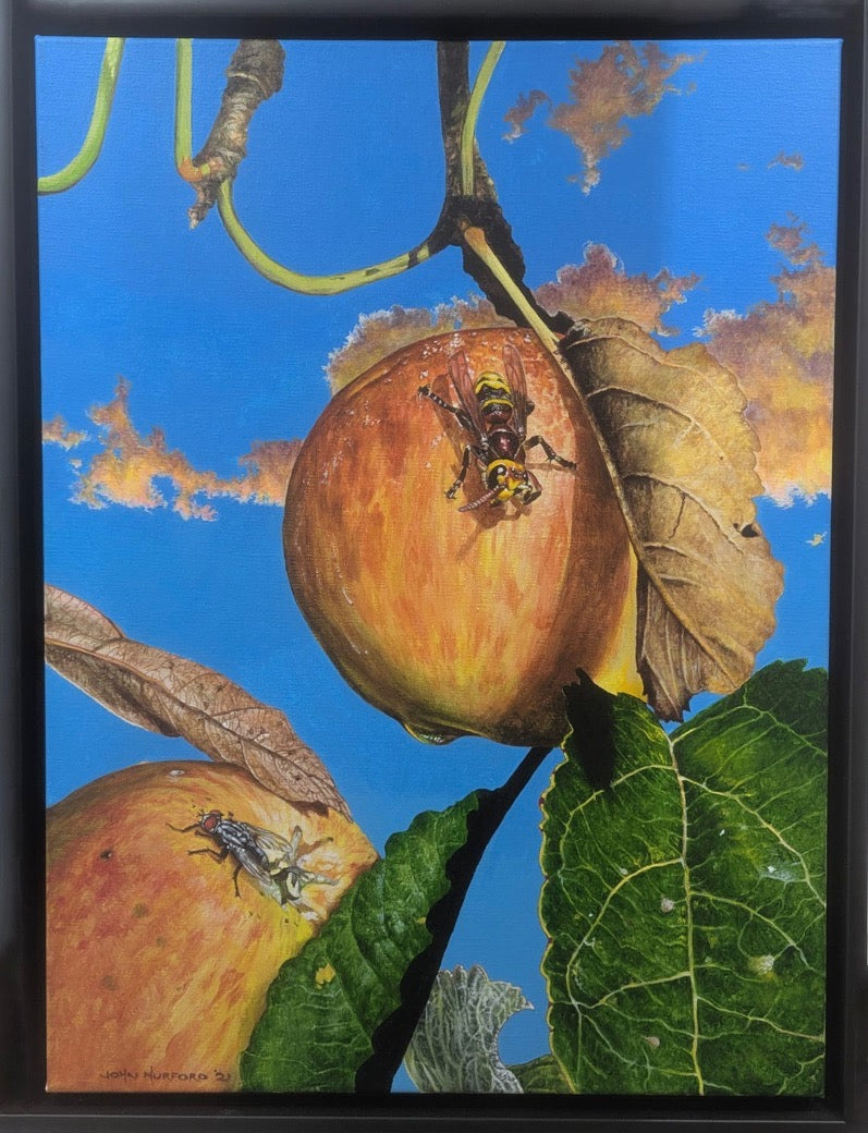 Hornet Watches Fly - original art by John Hurford