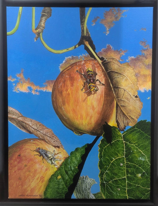 Hornet Watches Fly - original art by John Hurford