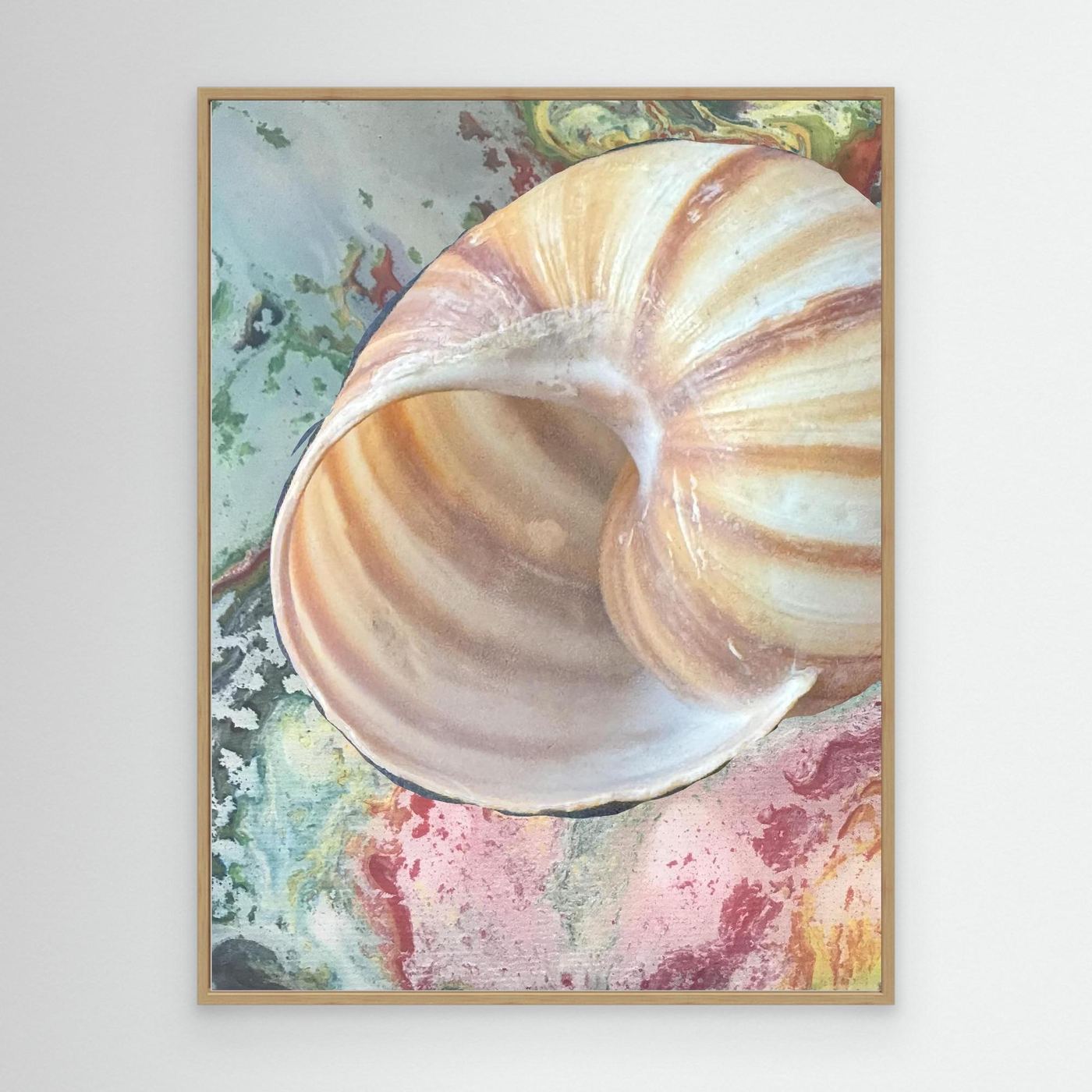 Shell On pink/green/blue background
