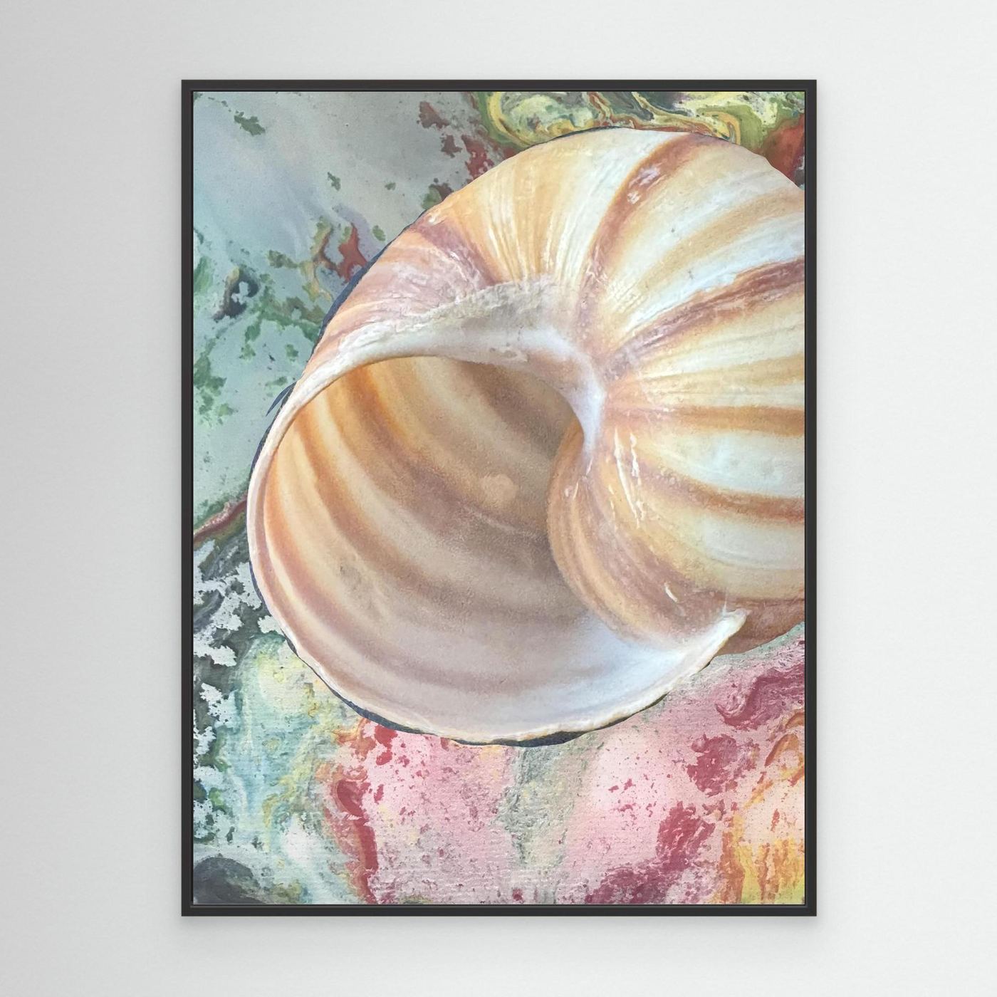 Shell On pink/green/blue background