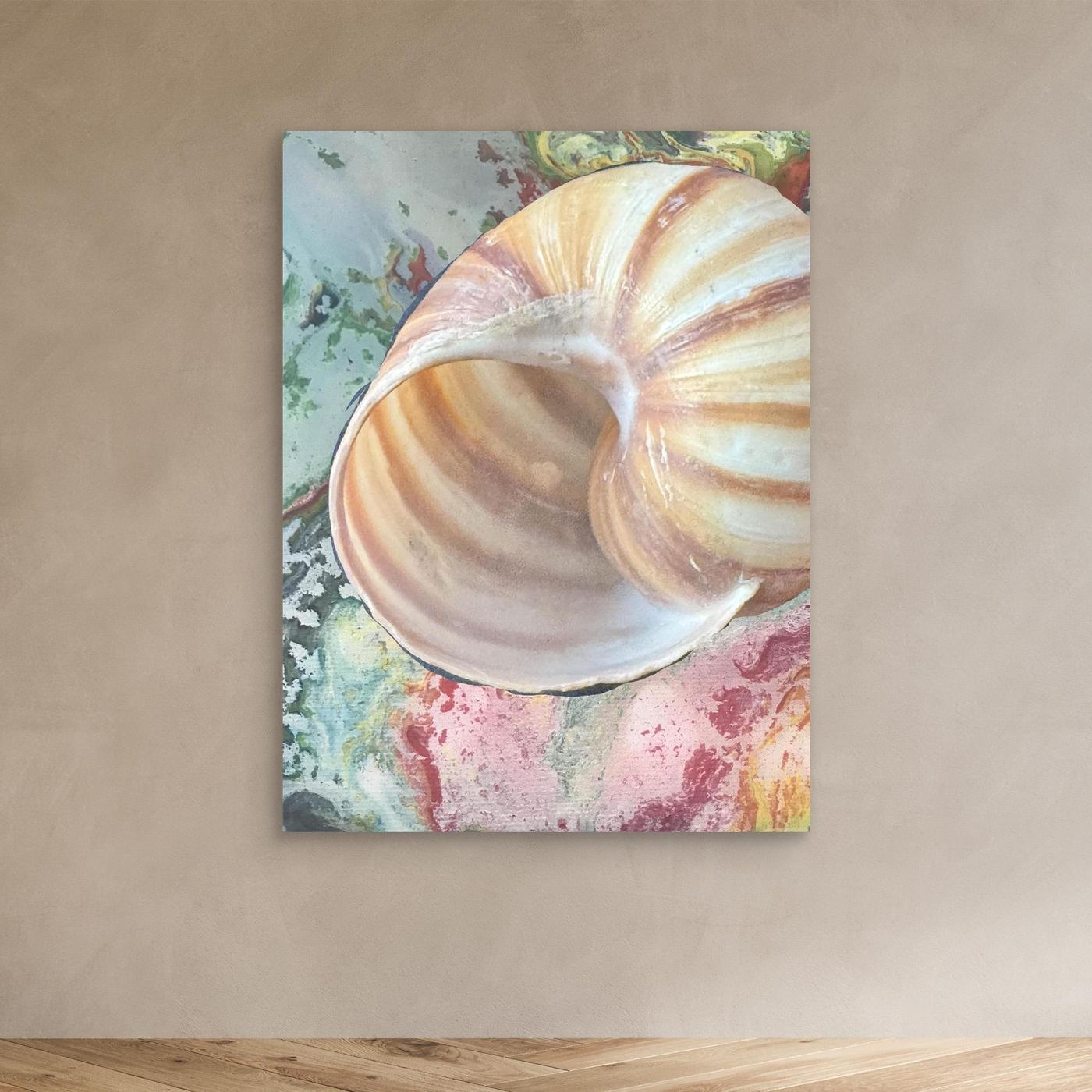 Shell On pink/green/blue background