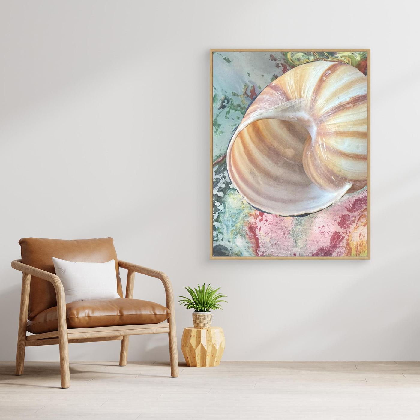 Shell On pink/green/blue background
