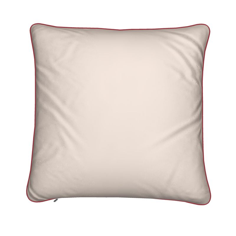 Designer Cushions - AC/2C